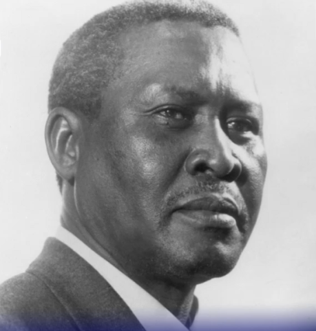 Luthuli was murdered in cold blood - Radebe - eNCA